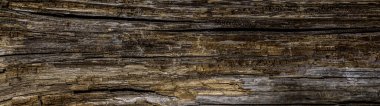 Eski kırık ahşap arka plan. Klasik ahşap panoramik arkaplan.