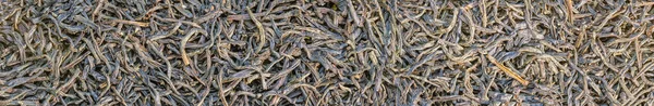 Panoramic View Dried Tea Background Texture Dry Tea Leaves — Stock Photo, Image