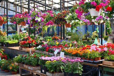 Şehir pazarında taze çiçeklerle dolu bir tezgah. Çiftçi pazarında ticaret..