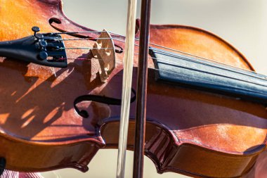 Baş ve keman yakın plan. Halkın içinde keman çalan bir adamın detaylı görüntüsü.