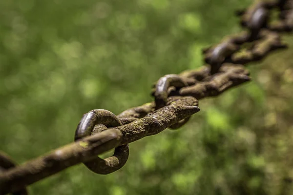 Old Rusty Chain Hangs Blurred Background Corrosion Metal — Stock Photo, Image