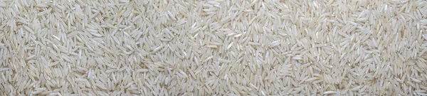 Panoramic White Long Rice Background Texture Rice Grains Close — Stock Photo, Image