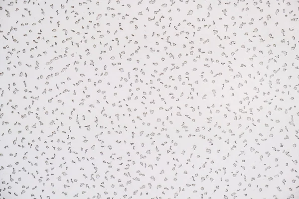 Küçük Taş Duvar Dokunun Beyaz Renkli Arka Planı Soyut Grunge — Stok fotoğraf