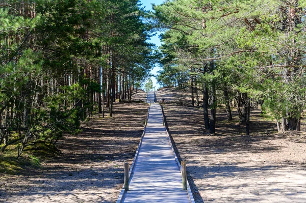 Wooden Walkway Leading Beach Sunny Day Forest Landscape — Stock Photo, Image
