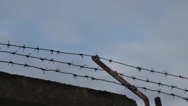 带有铁丝网的混凝土围栏 蓝色天空下栅栏上有铁丝网 — 图库视频影像