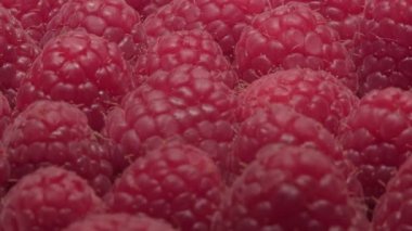 Kırmızı taze olgun ahududuları yakından çek. güzel böğürtlen arka planı.