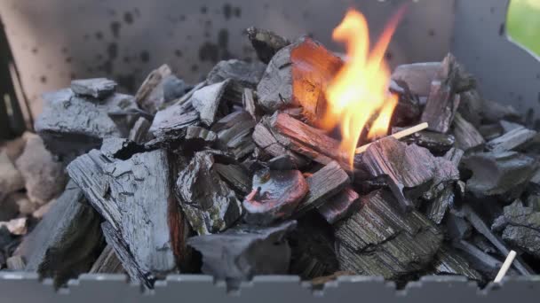 Ανάφλεξη Σπίρτα Κάρβουνου Για Μπάρμπεκιου Κοντινό Πλάνο Του Ένα Brazier — Αρχείο Βίντεο