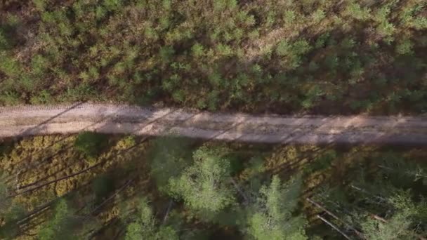 Vista Aérea Camino Rural Que Pasa Por Hermoso Bosque Verde — Vídeos de Stock