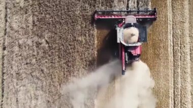 Combine harvester harvesting ripe wheat. Agriculture in summer.