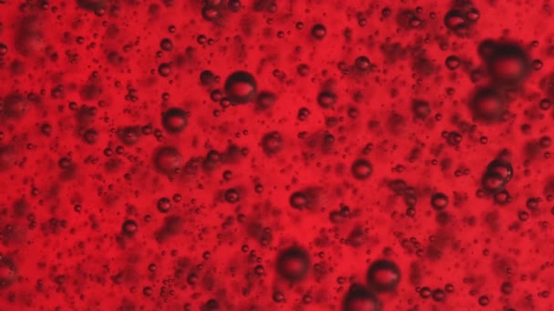 Red Abstract Oil Bubbles Liquid Background Oil Water Bubbles Macro — Video Stock