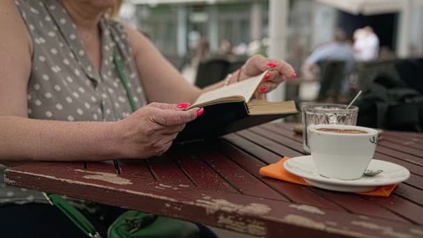 Mujer Absorbe Lectura Libro Interesante Durante Descanso Café Café — Vídeos de Stock