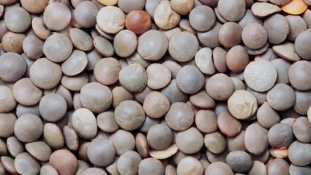 Red Lentils Seeds Close Beans Red Lentils Pattern Background — Vídeo de Stock