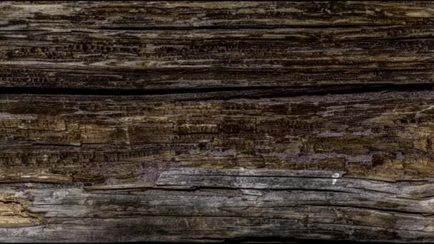 Panorama Old Dark Rough Wood Floor Surface Splinters Knots Horizontal — стоковое видео