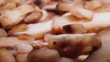 Rotating background of frozen slices of mushrooms. Frozen food.