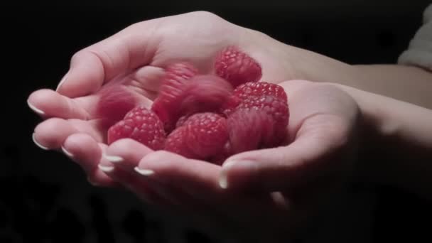 Mãos Mulher Segurando Framboesas Vitaminas Baga Úteis Alimentação Saudável Dieta — Vídeo de Stock