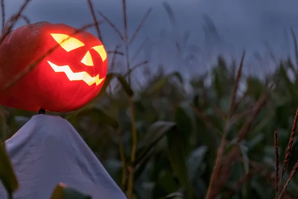 Halloween Kürbis Vogelscheuche Einem Weiten Maisfeld Einer Beängstigend Dunklen Nacht — Stockfoto
