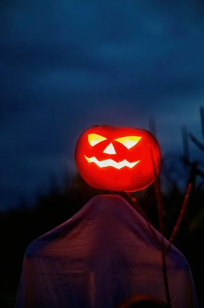 Светящееся Тыквенное Пугало Хэллоуин Широком Кукурузном Поле Ночью — стоковое фото
