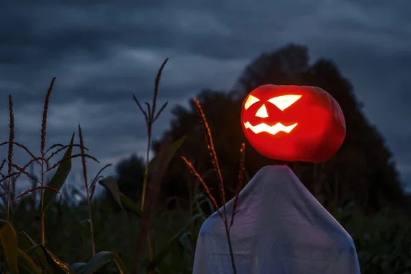 Sebuah Jack Lantern Menakutkan Terbuat Dari Labu Ladang Jagung Malam — Stok Foto