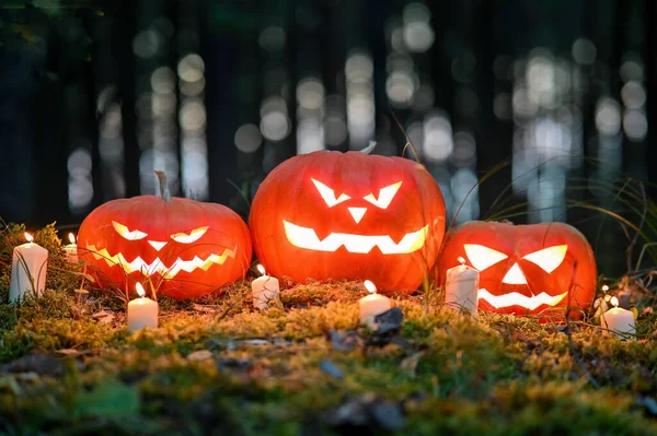Trzy Halloween Dynia Głowa Jack Latarni Płonących Świec Strasznym Lesie — Zdjęcie stockowe