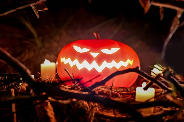 Scary pumpkin lantern with an evil Halloween grin. with lit candles in a scary deep night forest. Halloween holiday design concept.