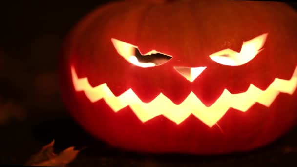 Zbliżenie Halloween Dynia Latarnia Upiornym Lesie Nocy Złem Świecące Oczy — Wideo stockowe