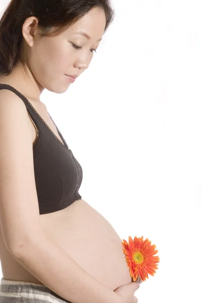 Ganska ung gravid kvinna med krysantemum — Stockfoto