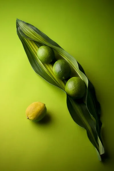 Laranja artística e limão com uma folha grande — Fotografia de Stock