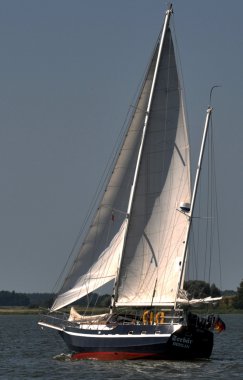 Yelkenli tekneler yarış.