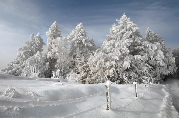 Paesaggio invernale. — Foto Stock