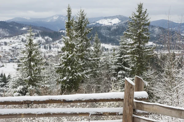 Winter in Carpathian Mountains. — Stock Photo, Image