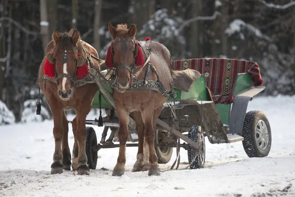 Carro tradicional de caballo de Navidad ucraniano . Imagen de archivo