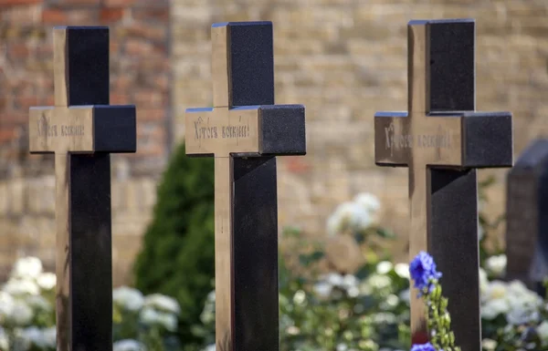 satır haçlar kahramanlar.