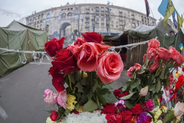 Barikatlar üzerinde çiçekler.