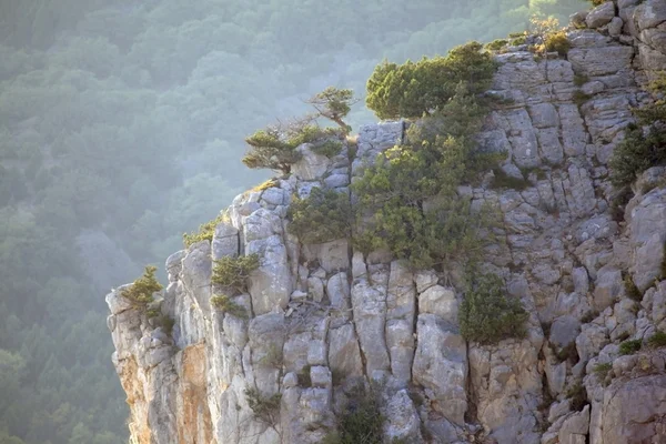 Pico da montanha da Crimeia . — Fotografia de Stock