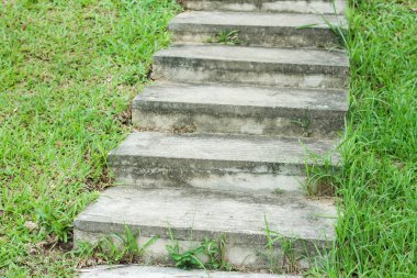 Yağmur mevsiminde bol yeşil çimenli bir alanda taş basamakları.
