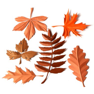 Sonbahar Yaprakları