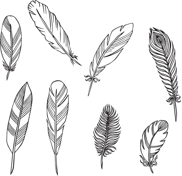 Siluetas vectoriales de plumas — Vector de stock