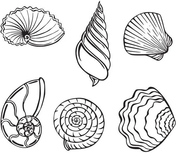 Ilustração vetorial de conchas marinhas — Vetor de Stock