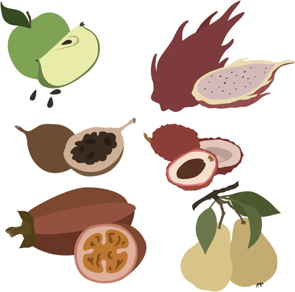 Vectorillustratie van diverse vrucht — Stockvector