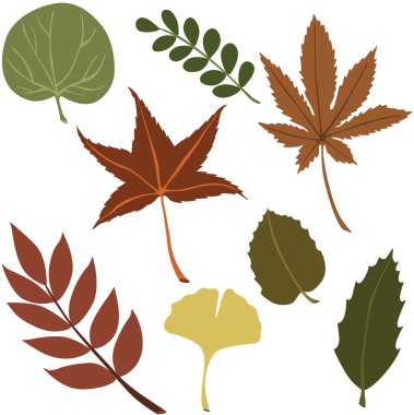 çeşitli bitki örtüsü vektör