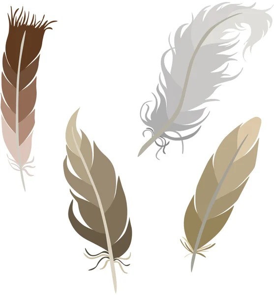 Varios tipos de plumas — Vector de stock
