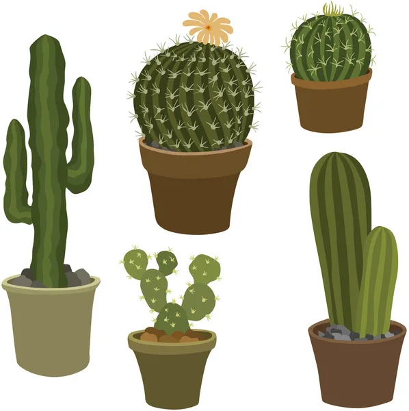 vektör çizimi kaktüs