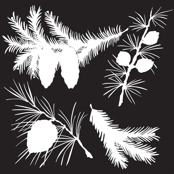 Çam dallarının siluetleri vektör çizim — Stok Vektör