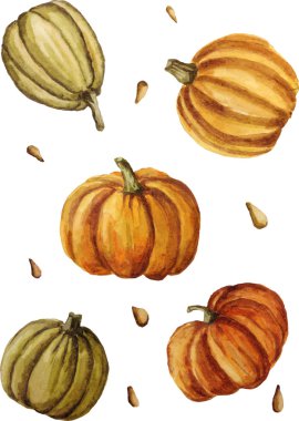 Vektör çizimi sulu boya kabak