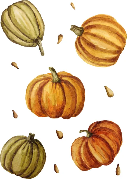 Vektör çizimi sulu boya kabak