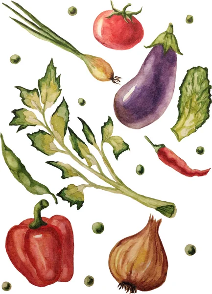 Vektör çizim suluboya sebze