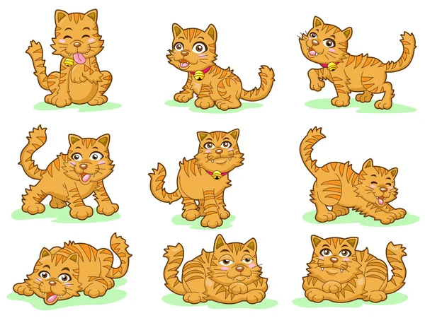 Kolekce devíti roztomilá koťátka na bílém pozadí — Stockový vektor