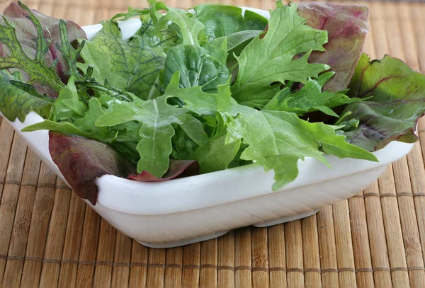 Mesclun sallad — Stockfoto