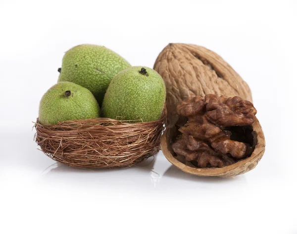 Walnut — Stock Photo, Image