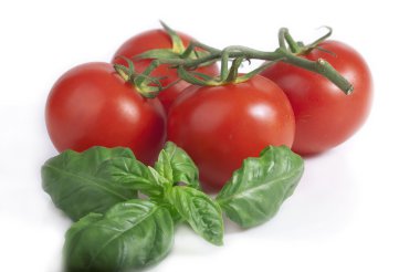 domates ve fesleğen